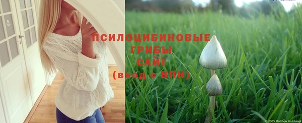 крисы Майский