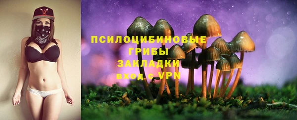 сатива Магадан