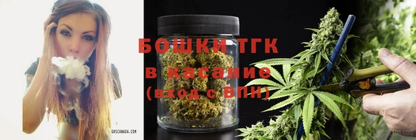 крисы Майский
