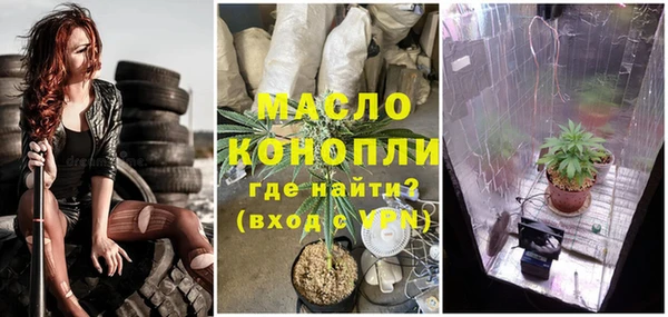 сатива Магадан