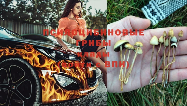 крисы Майский