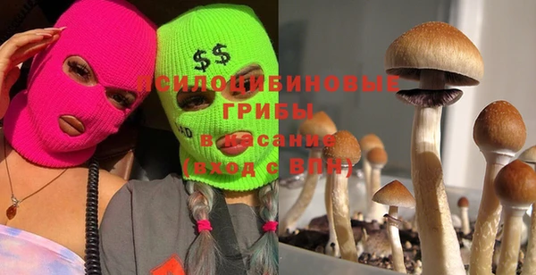 бутират Магас