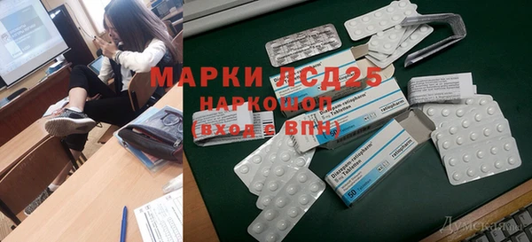крисы Майский
