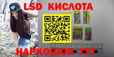 гашик Кингисепп