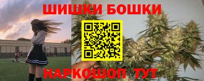гашик Кингисепп