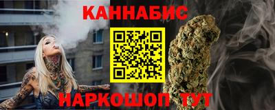 гашик Кингисепп