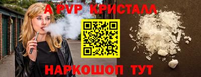гашик Кингисепп