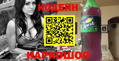 гашик Кингисепп