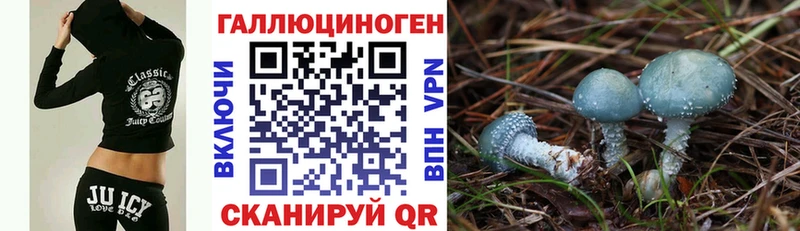 гидра как войти  Сухой Лог  Псилоцибиновые грибы Cubensis 