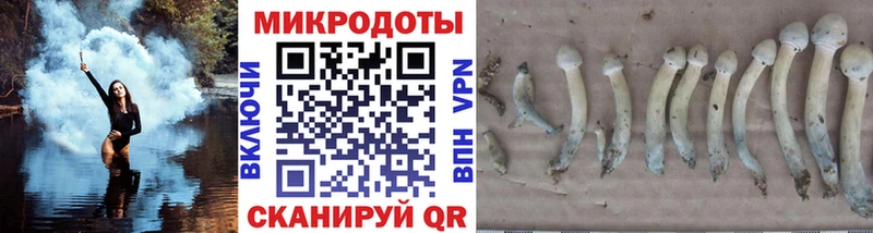 Псилоцибиновые грибы GOLDEN TEACHER Сухой Лог