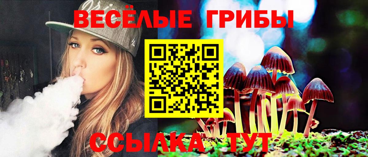 Сухой Лог  Галлюциногенные грибы прущие грибы  Вход с VPN 